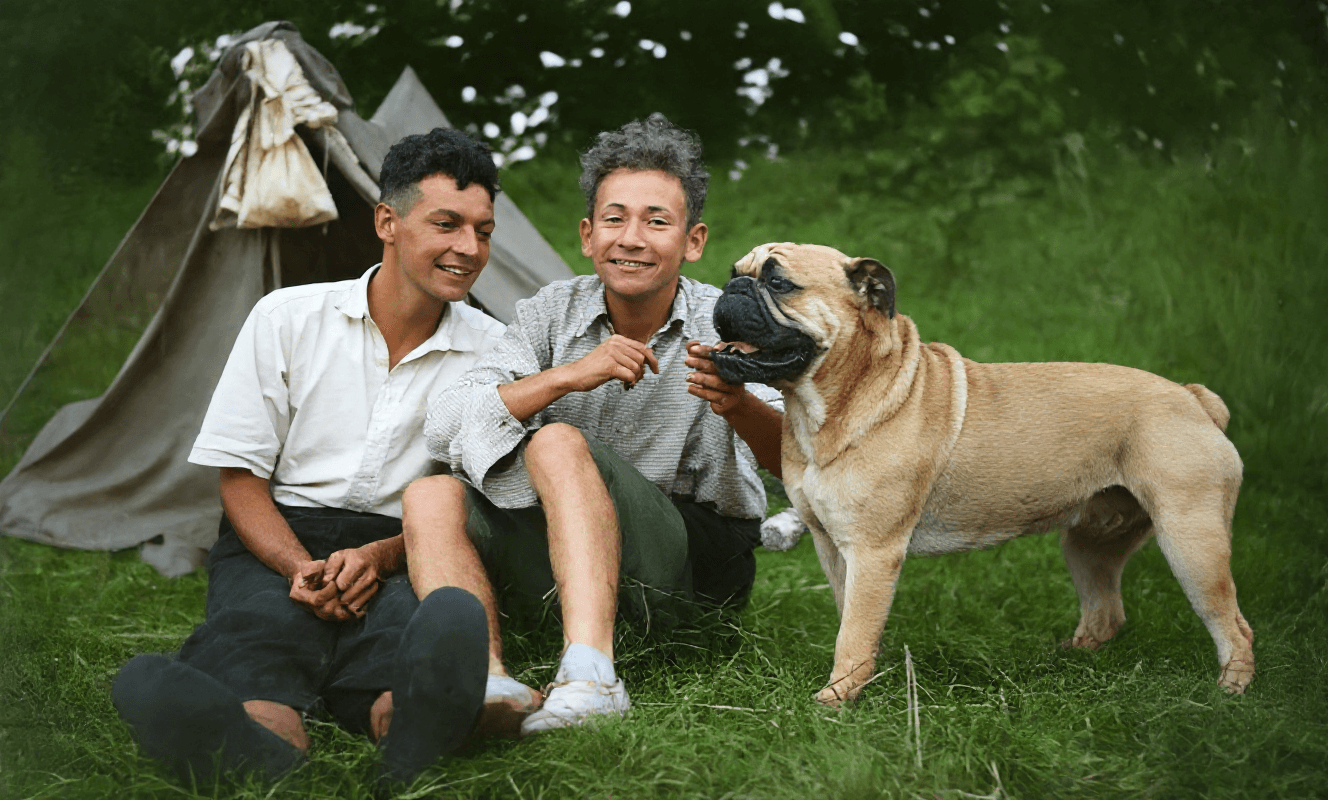 Restored photo